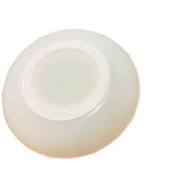 LED Dual Colour Downlight Switchable