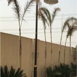 Decorative Lighting Pole